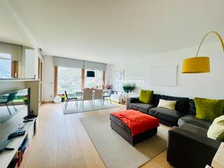 Planta baixa  Carretera engolasters. Piso en planta baja en escaldes, con sol y vistas. incluye 2 par