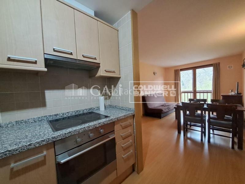 Foto 4d24e26e-31c6-4386-a784-447b428b2c2a. Piso  de 1 habitacion amueblado en la pleta de soldeu en Canillo