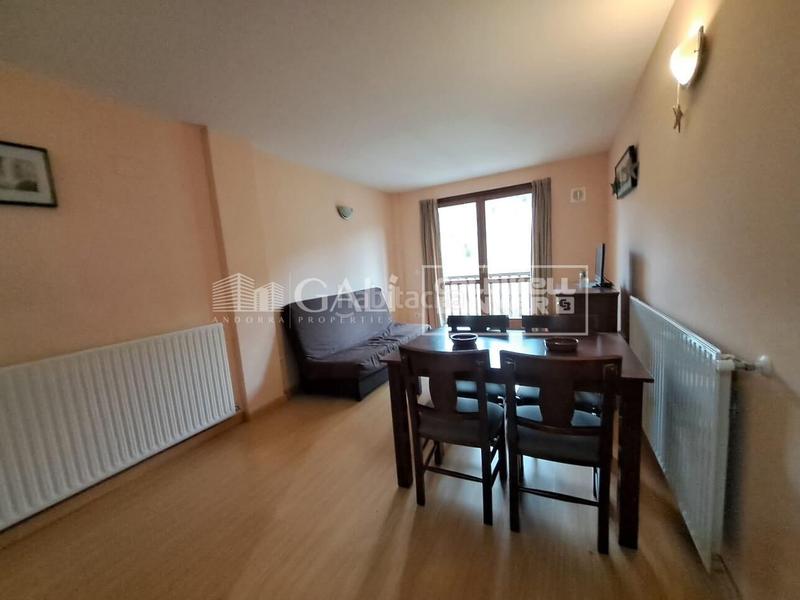 Foto a73b0417-0f16-4a83-a85c-d6ee9547fd20. Piso  de 1 habitacion amueblado en la pleta de soldeu en Canillo