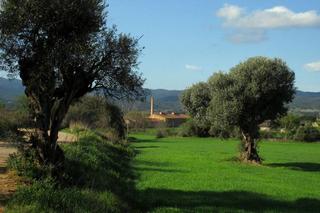 Masia a Forallac. Casa rustica en venta
