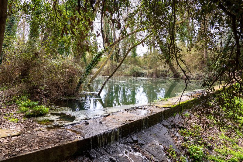 Foto 0fc04bab-e006-46ea-a4eb-7c455351bbfb. Finca rústica a Parlavà