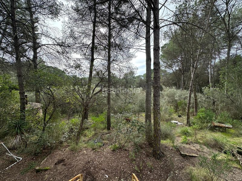 Foto 84a67732-4739-454b-9ba4-ec39f84b86a7. Finca rústica a Parlavà