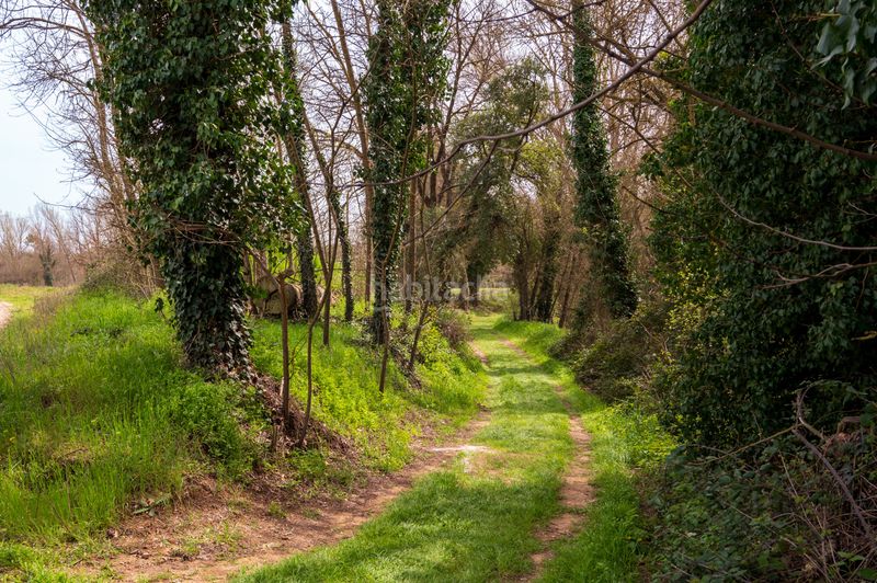 Foto d04fa761-18e4-41cf-be29-3793a3b7e5ea. Finca rústica a Parlavà