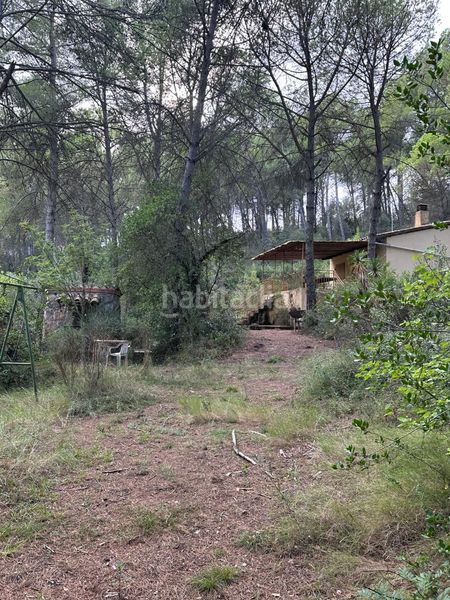 Foto e369445a-10a7-4f32-96aa-b7c8bf006303. Finca rústica a Parlavà