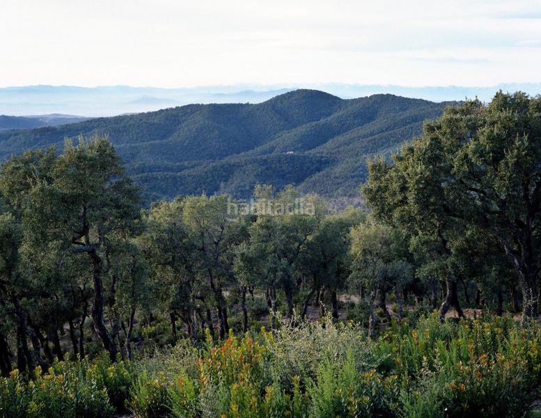 Foto cadc22cd-6d77-4954-a2aa-ab233d29c16b. Casa amb xemeneia a Corçà