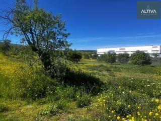 Residential Plot in Los Berrocales