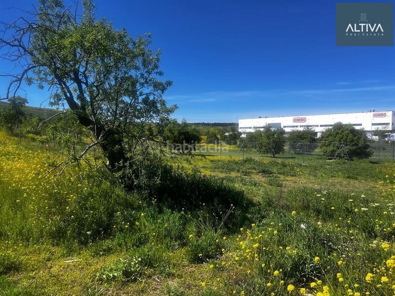 Foto a325529a-5b6e-4051-9254-0e34ddb4b656. Residential plot in Los Berrocales Madrid