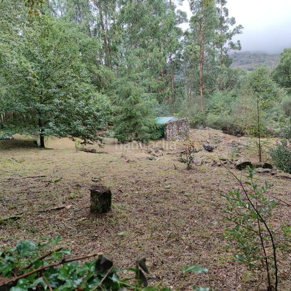 Foto 17b5bc34-bb55-469a-b058-9bb28042c52b. Landgut in lugar cerraxe 1 in Cotobade