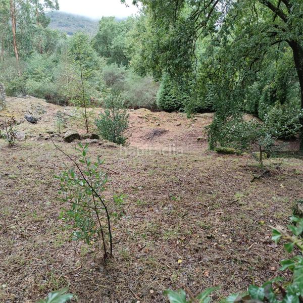 Foto 2aefc10c-1f28-49bf-9ee6-31a94ee9f024. Landgut in lugar cerraxe 1 in Cotobade