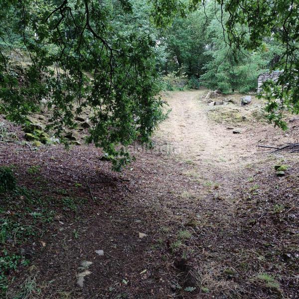 Foto 3c5f8532-343f-4a79-bc47-e89bdd36b3ce. Landgut in lugar cerraxe 1 in Cotobade