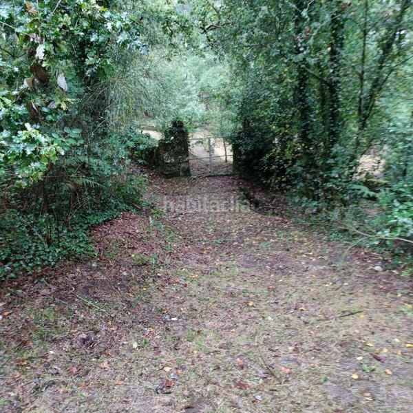 Foto 5541e9a9-6388-4f6d-9024-e13e3ef3fa23. Landgut in lugar cerraxe 1 in Cotobade