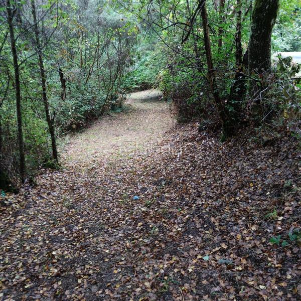 Foto 5a061523-2309-47bc-8568-5d2ca408626b. Landgut in lugar cerraxe 1 in Cotobade