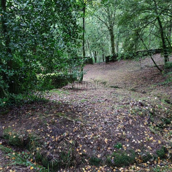 Foto 6e8db22a-321a-4520-af0f-a2ec5a3f17fd. Landgut in lugar cerraxe 1 in Cotobade