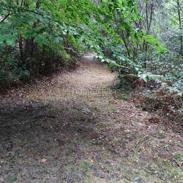 Foto 9dd377bf-d753-45fb-921d-a8df0ef4cea9. Landgut in lugar cerraxe 1 in Cotobade