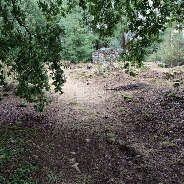 Foto a224a1a6-7d2a-453a-b814-7e41240ffded. Landgut in lugar cerraxe 1 in Cotobade