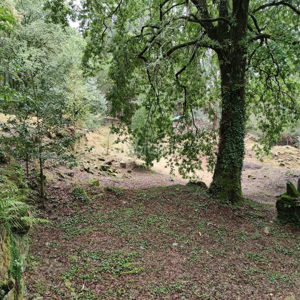 Foto d7cff893-d6db-4ce2-b6d5-5c2f22c0383e. Landgut in lugar cerraxe 1 in Cotobade