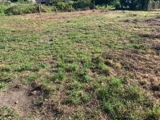 Terreno residenziale  Camino tarrio