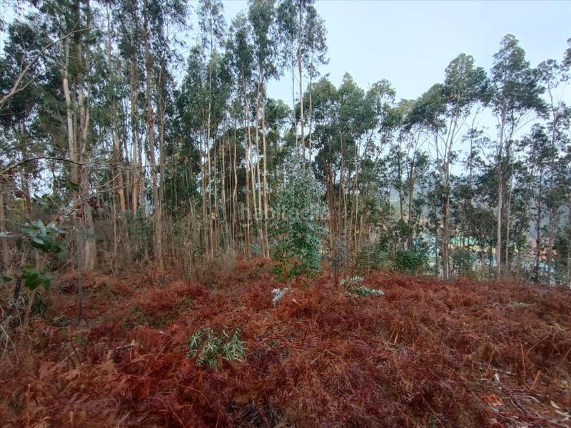Foto fea6b72a-51a2-433f-9c85-28bb7da7e2c6. Terreno residenziale in lugar de cons 10 in Parroquias Rurales Pontevedra
