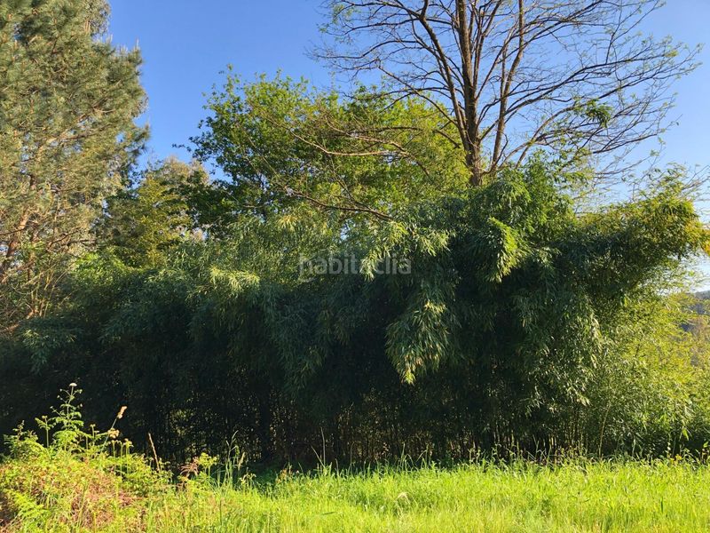 Foto 2ed99640-f675-499d-9970-f9e7019e107f. Finca rústica a lugar ponte nova-paradela a Meis