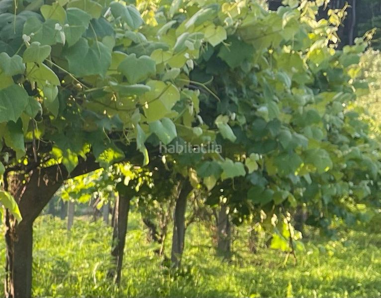 Foto b2543159-b235-4ce0-81ed-79e2a1bf91a1. Finca rústica a lugar ponte nova-paradela a Meis