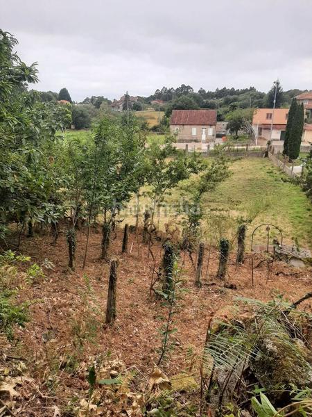 Foto 06cde43b-28ad-40b8-a1d0-10cb6fb79c3d. Wohngrundstück in lugar la xesteira 1 in Cotobade