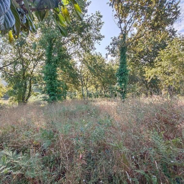 Foto 18617679-13fa-4e6a-8844-e2b7246b2ffe. Terrain résidentiel dans lugar lourido perdecanai 20 dans Barro