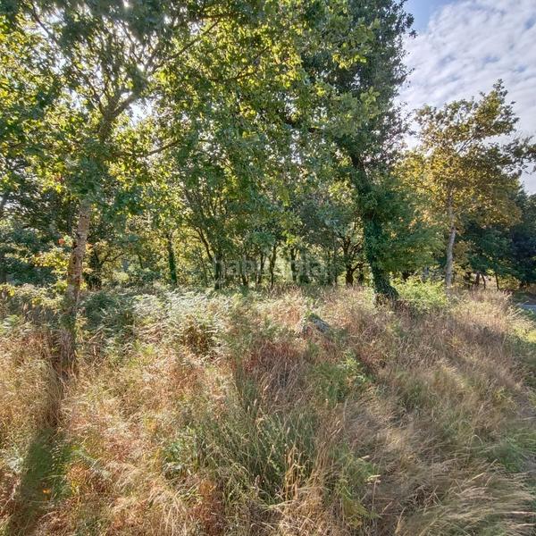 Foto 30f33c05-a1ae-40e4-9070-3d554d87e69f. Terrain résidentiel dans lugar lourido perdecanai 20 dans Barro