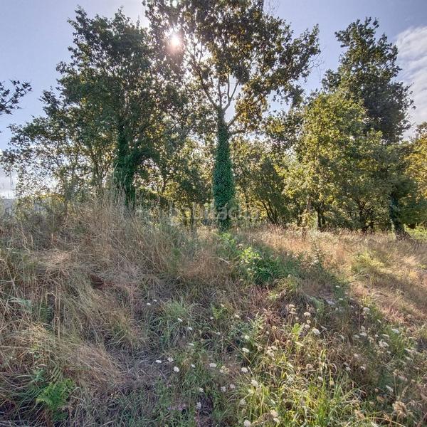 Foto 6d038cf7-1a77-40a3-b3af-c42755d00ccd. Terrain résidentiel dans lugar lourido perdecanai 20 dans Barro