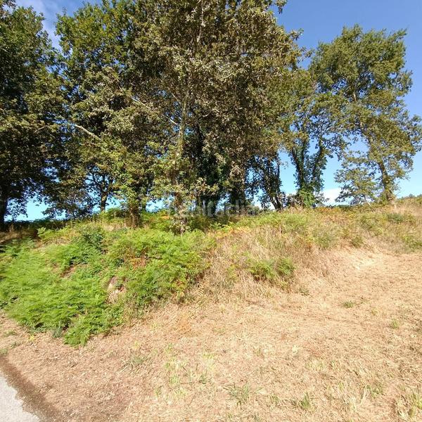 Foto 91b10500-4164-4714-b4b3-52f797f09411. Terrain résidentiel dans lugar lourido perdecanai 20 dans Barro