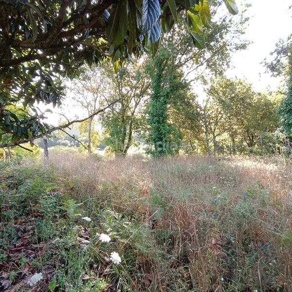 Foto 460b5608-ef0c-4289-85ab-192191916e9f. Wohngrundstück in lugar lourido perdecanai 20 in Barro