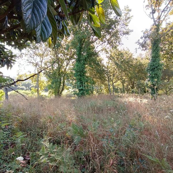 Foto c26a9f02-f96f-4676-b3b2-95507390ffef. Wohngrundstück in lugar lourido perdecanai 20 in Barro