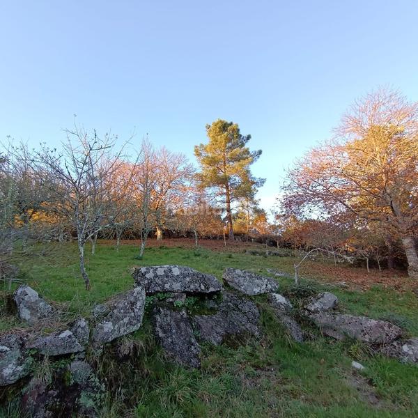 Foto 66270e26-0e83-4db2-be6a-32b3387319df. Chalet in vía pazos de borela 24 in Cotobade