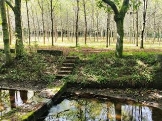 Landgut in Parroquias Rurales