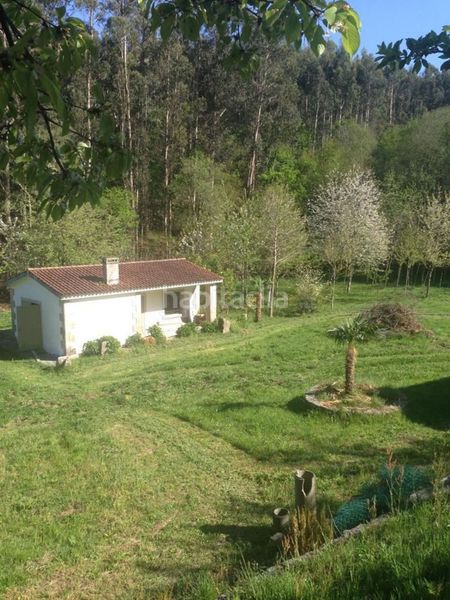Foto 8dd7b7f1-99cd-44a0-ae98-dc780d78a1b8. Finca rústica a Parroquias Rurales Pontevedra