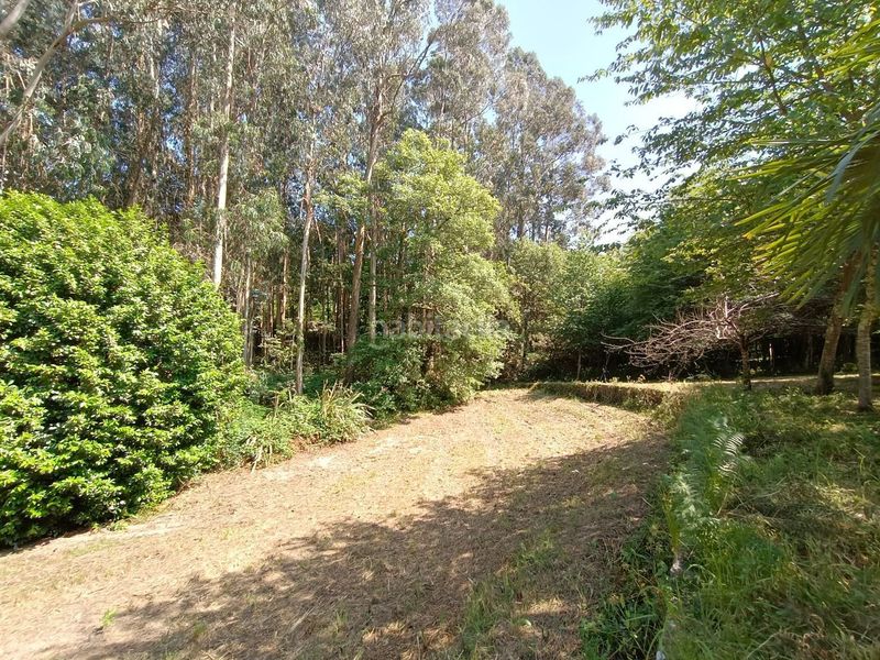 Foto 8f8e529a-8b7f-4e67-9742-89b0bc944c36. Finca rústica a Parroquias Rurales Pontevedra