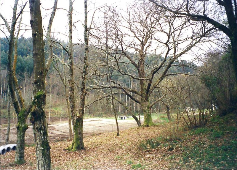 Foto b09b45d8-b174-46af-81a5-88ed5f4bd4a2. Finca rústica a Parroquias Rurales Pontevedra