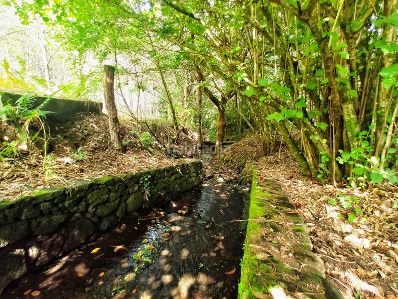 Foto cd36e289-1f2f-4890-897d-d89e652e95ed. Finca rústica a Parroquias Rurales Pontevedra