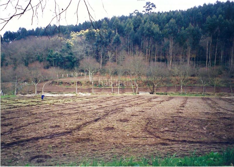 Foto d195ef1d-d591-4287-b6c2-d49e37491b0b. Finca rústica a Parroquias Rurales Pontevedra