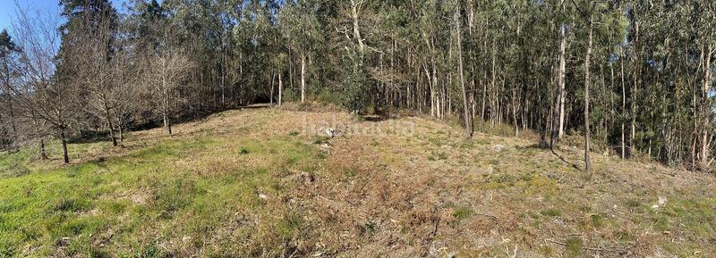 Foto 3d5a9bdf-094b-48ce-b4b0-d2b5b349f9b8. Residential plot in outeiro 18 in Vilaboa