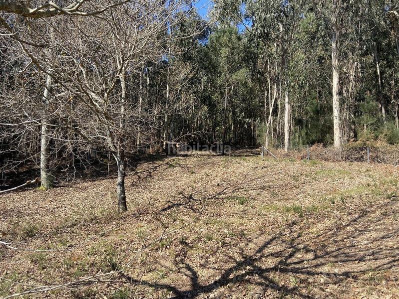 Foto 73f14e4c-b47c-4253-948c-b7512fa960b0. Wohngrundstück in outeiro 18 in Vilaboa