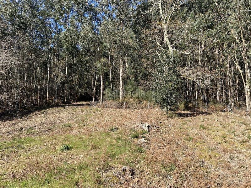 Foto ca657626-7aac-4c57-8a45-42099ea0b6a3. Wohngrundstück in outeiro 18 in Vilaboa