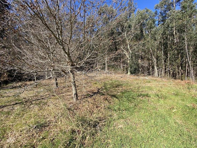 Foto fb1393c8-eafd-4227-8ab0-d22901854e7e. Wohngrundstück in outeiro 18 in Vilaboa