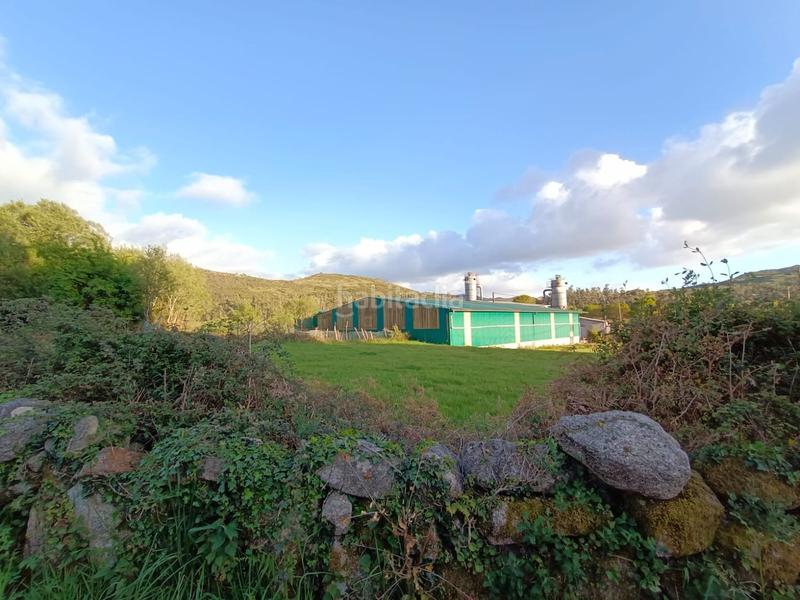 Foto d1c634aa-a4da-4f3d-840b-6b32e9391b2c. Landgut in lugar a braña borela 32767 in Cotobade
