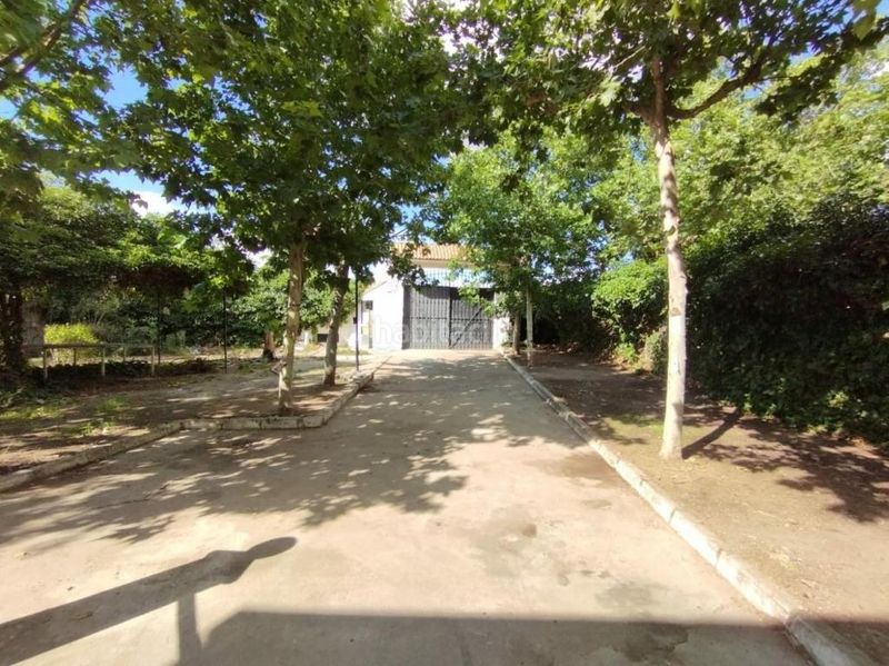 Foto 199fef2e-87dc-4273-a8ec-a3ba6e68e4f2. Xalet amb xemeneia aparcament piscina a Lominchar