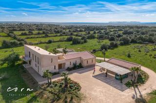 Country house in Ses Salines Poble
