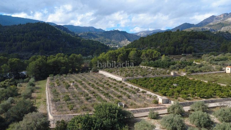 Foto 08237fcd-dcde-43a0-81b1-1a879c98248c. Terreny residencial a Orba