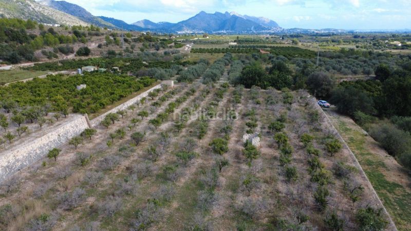 Foto 154f285b-0300-4386-baf0-22cf82ef8596. Terreny residencial a Orba