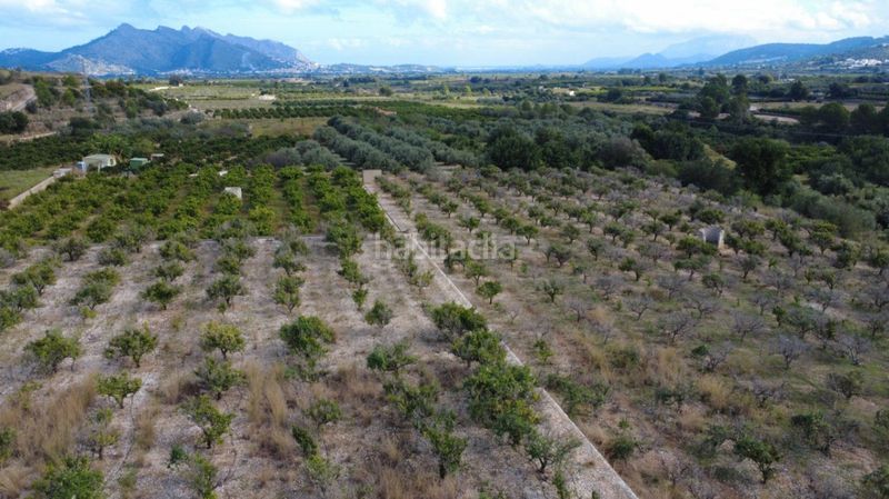 Foto f6c15e33-5e59-4e07-99c8-25ff47c75068. Terreny residencial a Orba