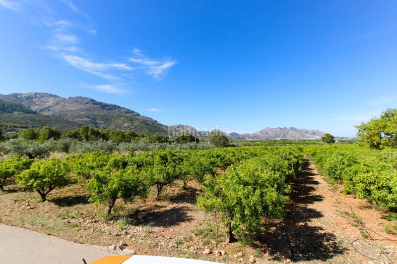 Foto 72e0b886-0bd0-4c65-bfef-800e94481259. Terreny residencial a Orba