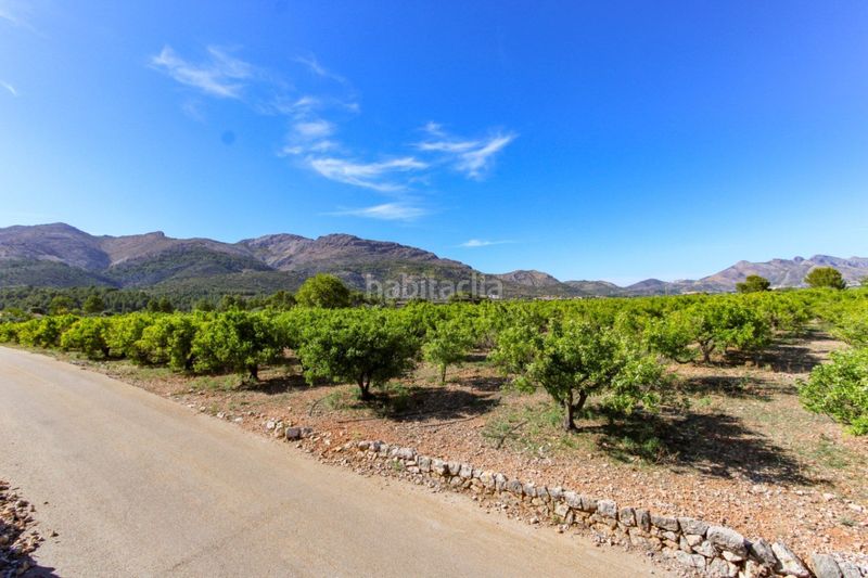 Foto 82e2a7b4-e786-46fb-b6dc-0e89b44f11c8. Terreny residencial a Orba